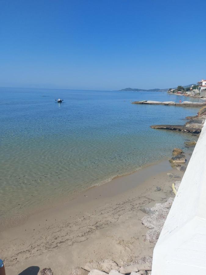 Pansion Alexandros By The Sea Aparthotel Nea Skioni Exteriör bild