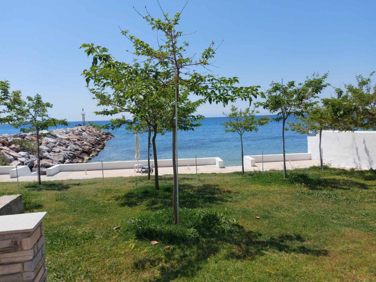 Pansion Alexandros By The Sea Aparthotel Nea Skioni Exteriör bild
